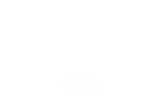 202606161705294640741
